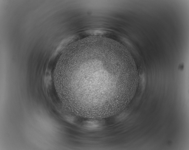 X0000113240381200909171608