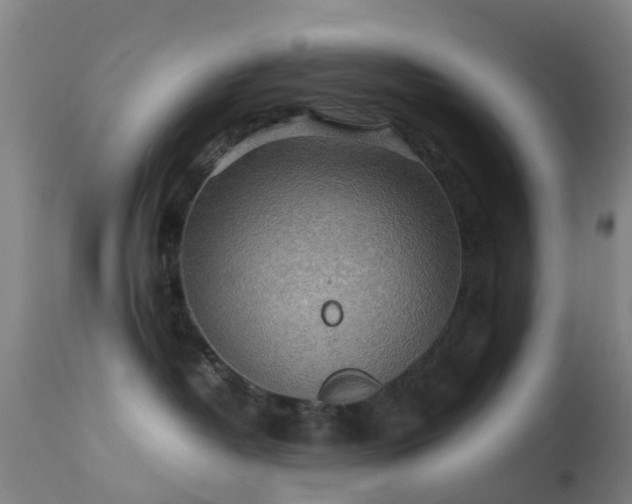 X0000113240382200909171608