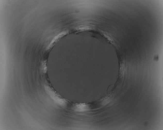 X0000113240383200909171608