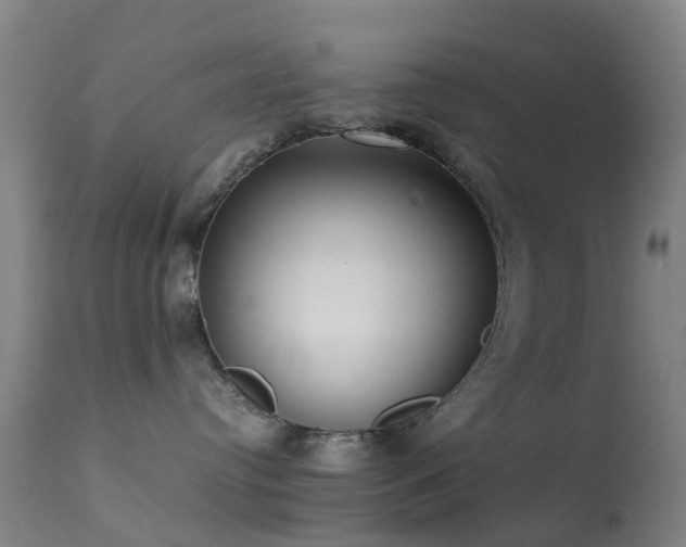 X0000113240384200909171608