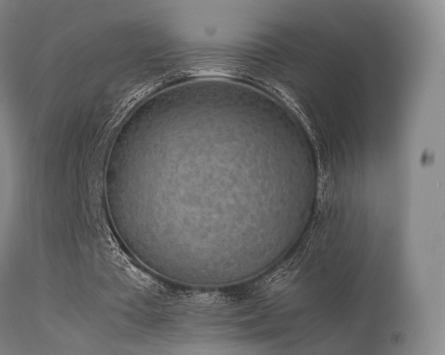 X0000113240385200909171608