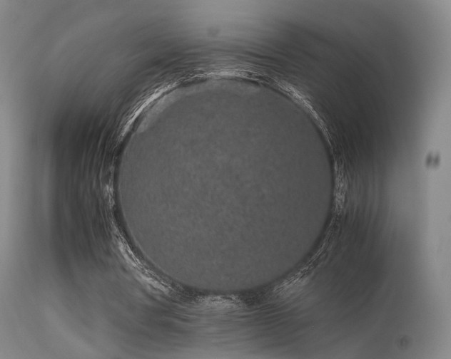 X0000113240386200909171608