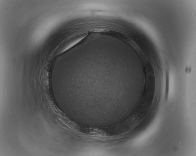 X0000113240387200909171608