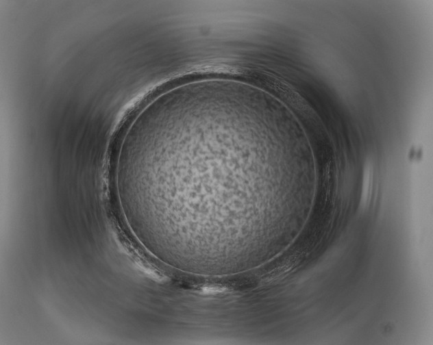 X0000113240388200909171608