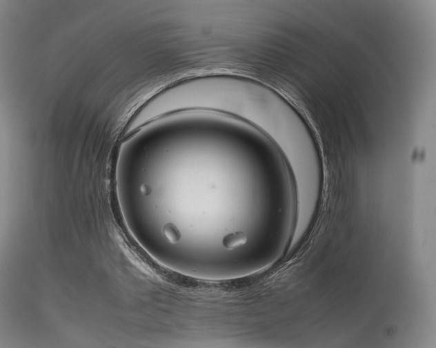 X0000113240389200909171608