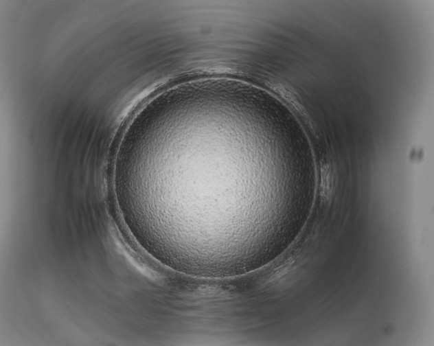 X0000113240390200909171608