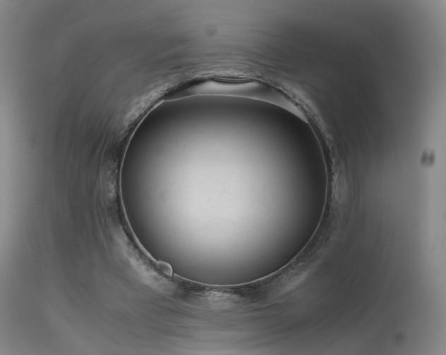 X0000113240393200909171607