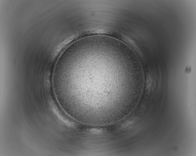 X0000113240394200909171607