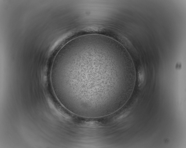 X0000113240396200909171607