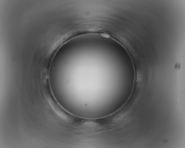 X0000113240397200909171607