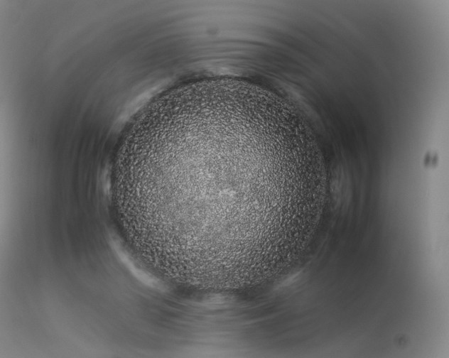 X0000113240398200909171607