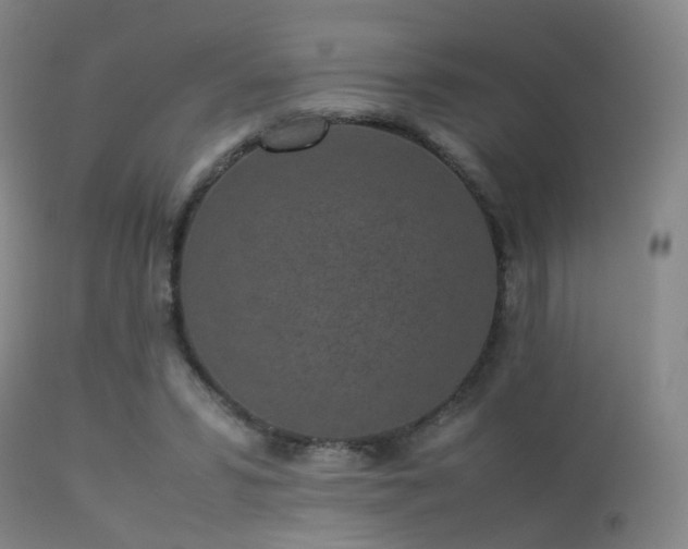 X0000113240399200909171607