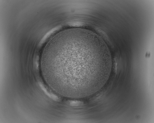 X0000113240400200909171607