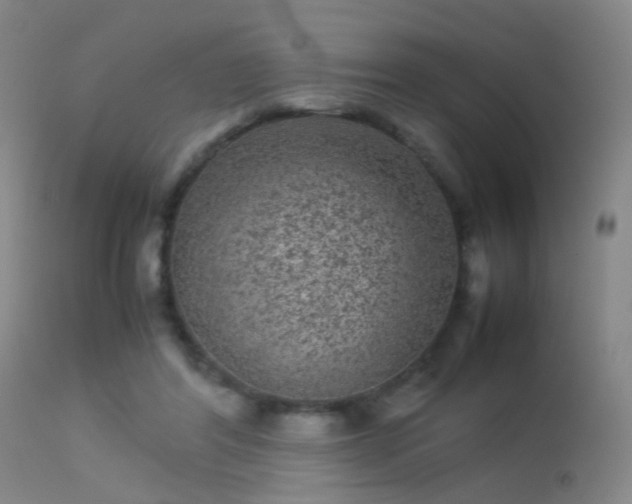 X0000113240404200909171607