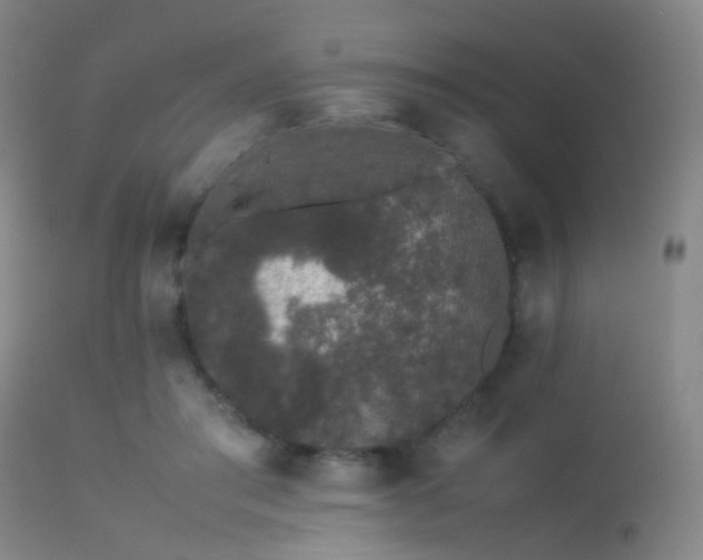 X0000113240405200909171607