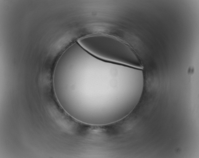 X0000113240407200909171607