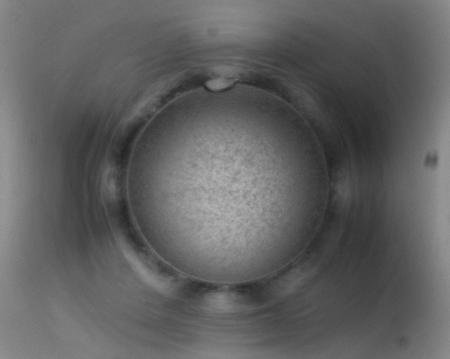 X0000113240408200909171607