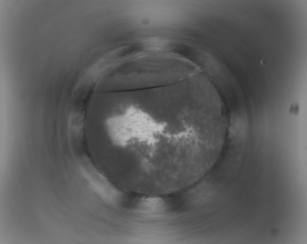 X0000113240409200909171607