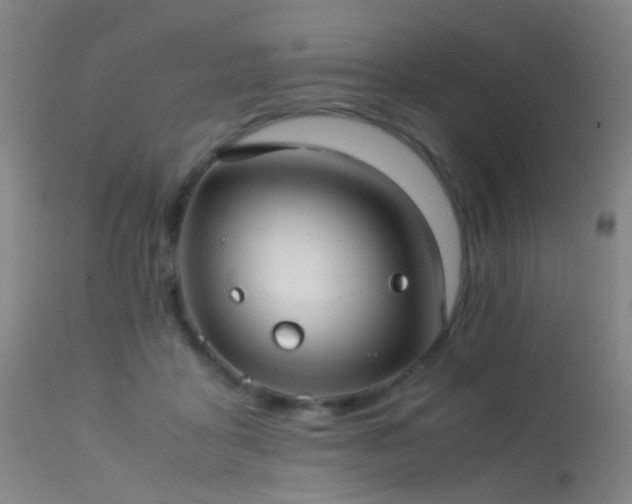 X0000113240411200909171607