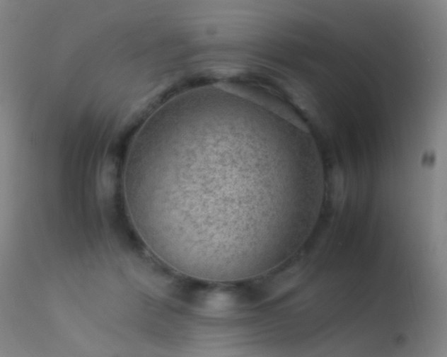 X0000113240412200909171607