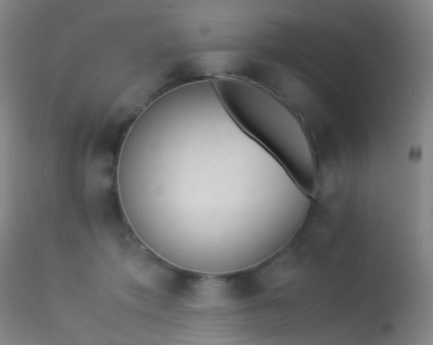 X0000113240413200909171607