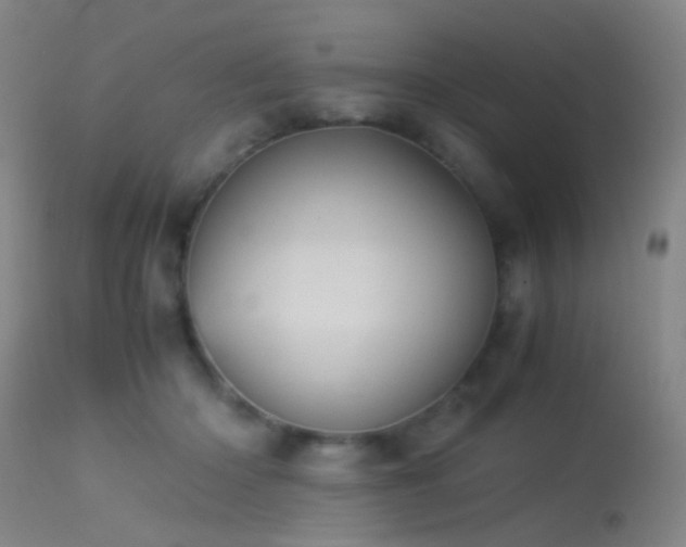 X0000113240414200909171607