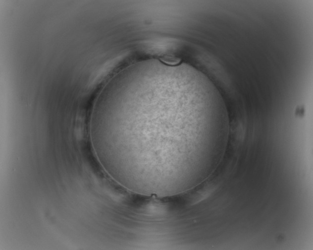 X0000113240416200909171607