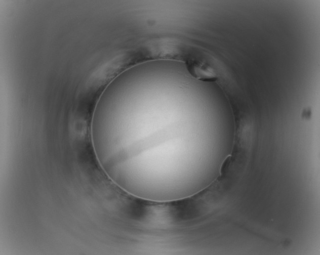 X0000113240417200909171607