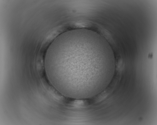 X0000113240418200909171607