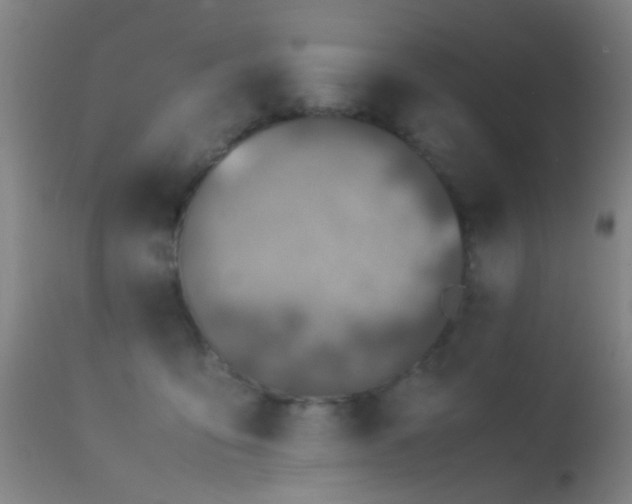 X0000113240419200909171607