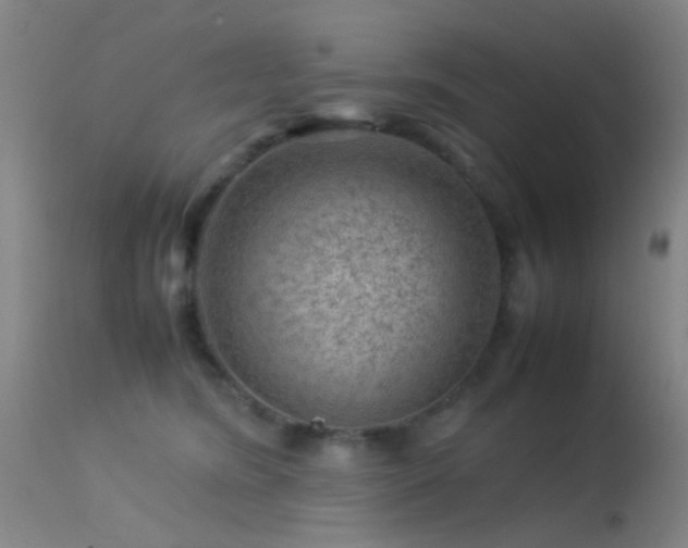 X0000113240420200909171607