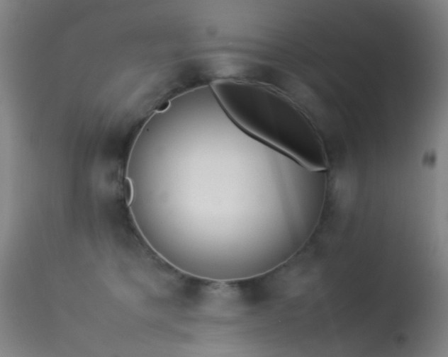 X0000113240421200909171607