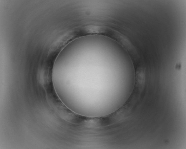 X0000113240422200909171607