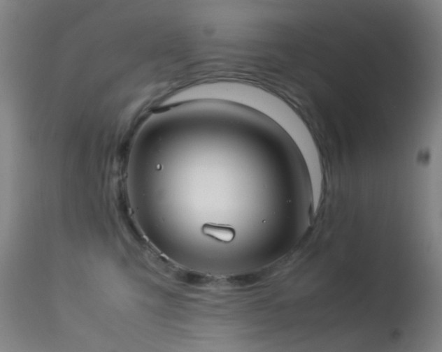 X0000113240423200909171607