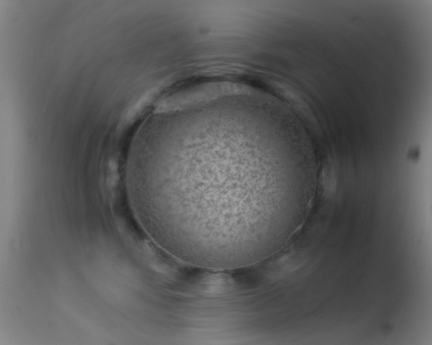 X0000113240424200909171607