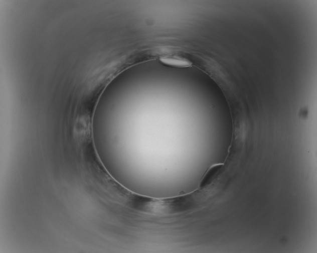 X0000113240425200909171607