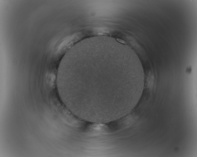 X0000113240427200909171607