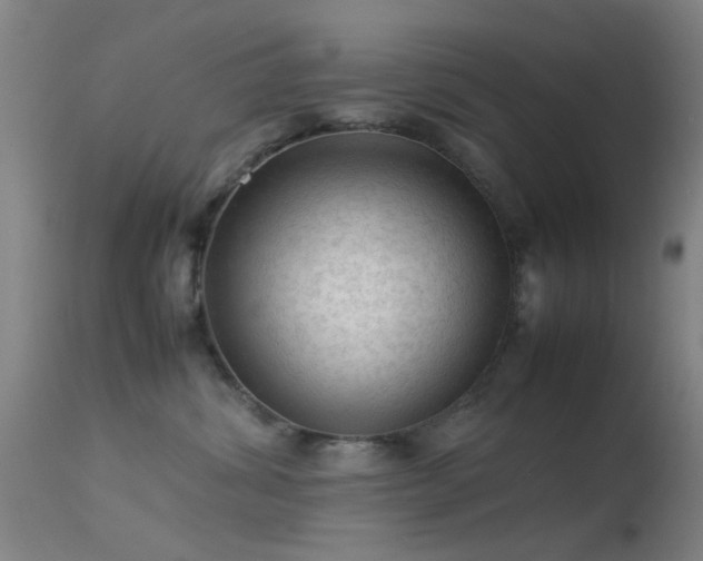 X0000113240428200909171607