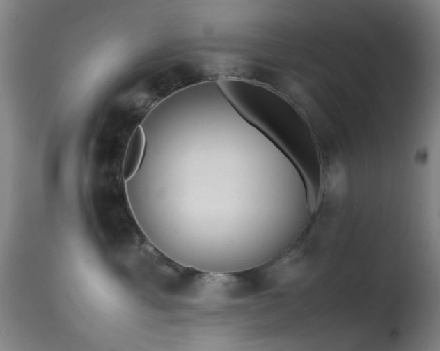 X0000113240429200909171607