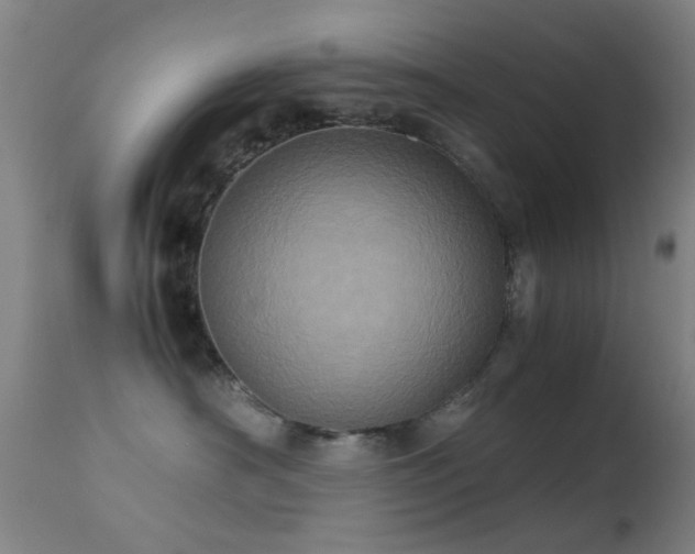 X0000113240430200909171607