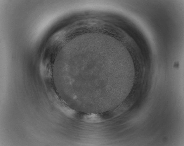 X0000113240431200909171607