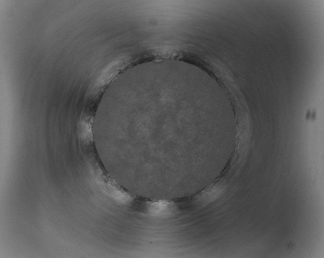 X0000113240432200909171607