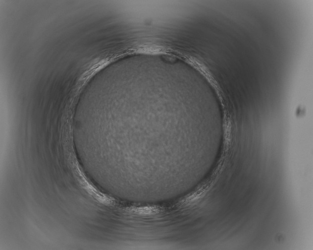 X0000113240433200909171606