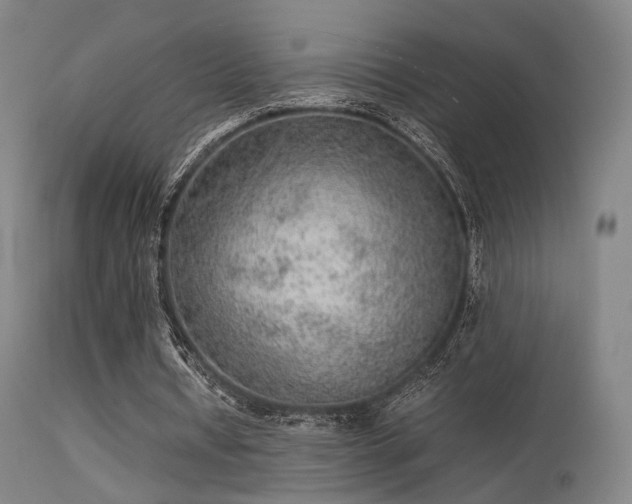 X0000113240434200909171606