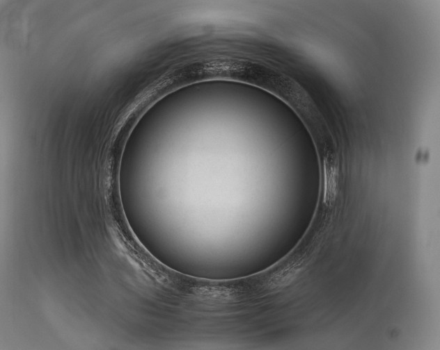 X0000113240435200909171606