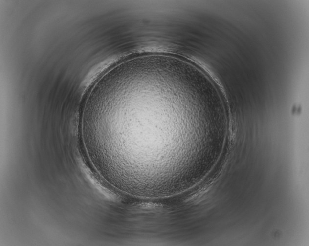 X0000113240437200909171606