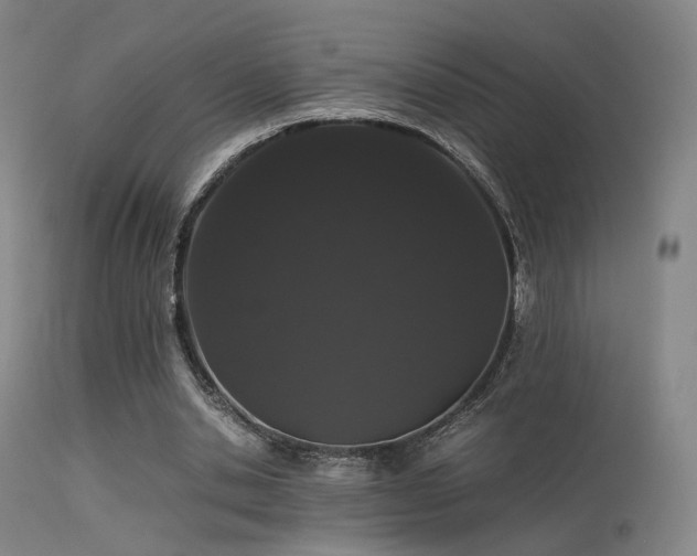 X0000113240438200909171606