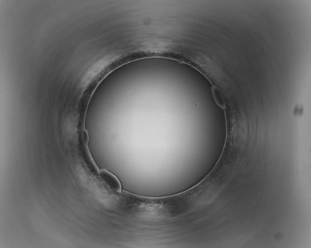 X0000113240440200909171606