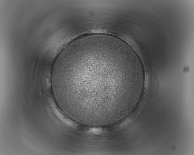 X0000113240441200909171606