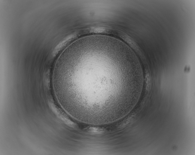 X0000113240442200909171606